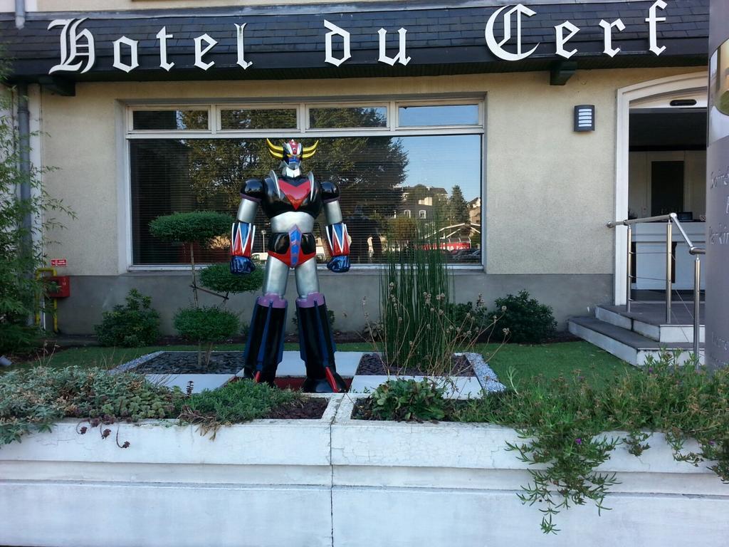 Contact Hotel Du Cerf Шато-Ґонтьє Екстер'єр фото
